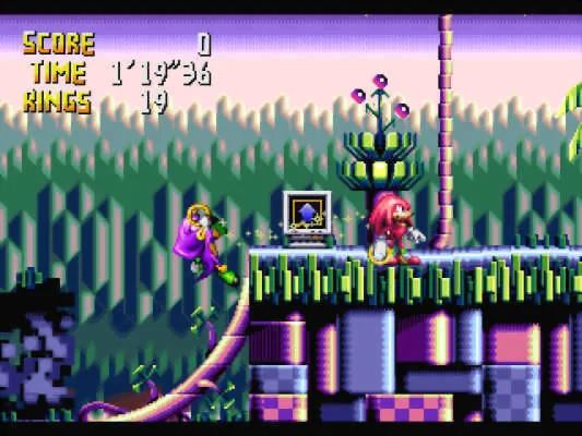 Espio i Knuckles units pels anells del Ring Power en un escenari tropical de plataformes.
