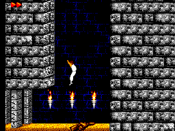 El protagonista cau per un pou vertical entre murs de pedra i plataformes.