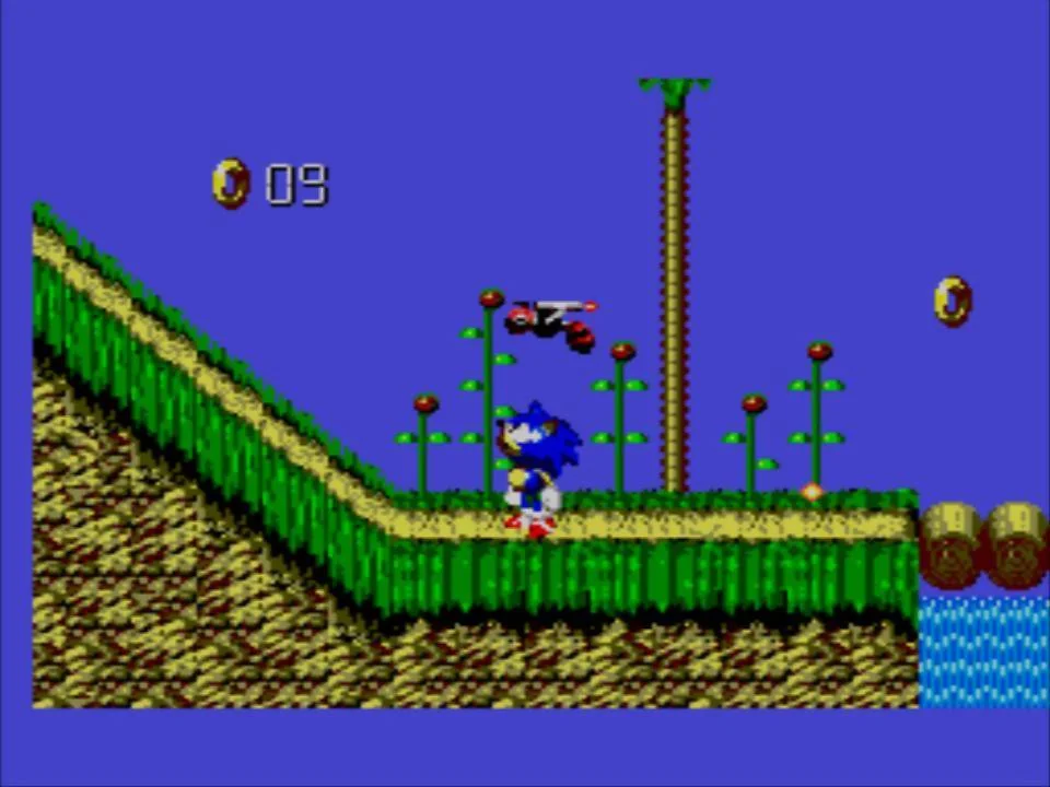 Sonic s’acosta a un enemic volador al costat d’un pont de troncs, plataformes, anells i aigua.