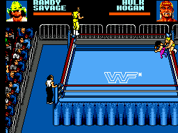 Combat per parelles amb Randy Savage i Hulk Hogan identificats als marcadors superiors.